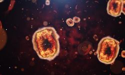Virüslerin Kimyasal Sinyallerle İletişim Kurduğu Belirlendi