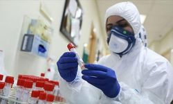 Yeni BA.3.2 Varyantı 'Ağustos Böceği' Hızla Yayılıyor