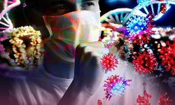 Yeni Koronavirüs Türü İnsan Hücrelerine Bağlanabiliyor