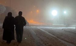 Yüksekova'da Nisan Ayında Yoğun Kar Yağışı Etkili Oldu