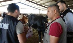 Adıyaman Polisi Kurbanlık Pazarında Sahte Para ve IBAN Dolandırıcılığına Karşı Uyardı