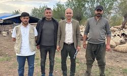 Afgan Çobanlar Türkiye'de Asgari Ücretle İşe Başladı