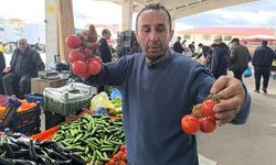 Afyonkarahisar'da Domates Fiyatları 150 TL'ye Ulaştı