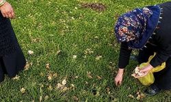 Ağrı'da Kadınlar Bahar Otlarını Toplayarak Hem Besleniyor Hem Kazanıyor