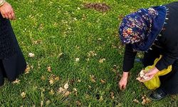 Ağrı'da Kadınlar Şifalı Otlarla Hem Sofraya Hem Ekonomiye Destek Oluyor