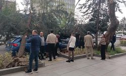 Ankara'da Kuvvetli Rüzgar ve Dolu Yağışı Etkili Oldu