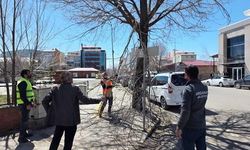 Ardahan Belediyesi Ağaç Budama Çalışmalarını Yoğunlaştırdı