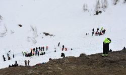 Artvin Ardanuç'ta Çığ Altında Kalan Çoban İçin Arama Çalışmaları Devam Ediyor