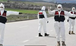 Aydın'da 17 Mahallede Şap Hastalığı Nedeniyle Karantina Uygulaması Başladı