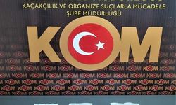 Batman Merkezli Tefecilik Operasyonunda 2 Kişi Tutuklandı