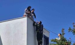Bodrum'da Elektrik Hattı Patlaması Yangına Neden Oldu: 2 Kadın Kurtarıldı