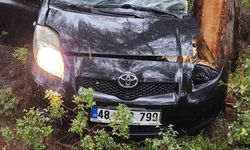 Bodrum'da Kontrolden Çıkan Araç Ormanlık Alana Uçtu: 1 Yaralı