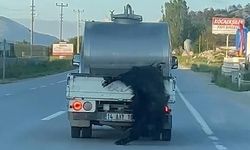 Bolu'da Kurbanlığı Araçtan Sarkıtan Sürücüye 31 Bin Lira Ceza