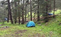 Bolu'da Piknik Yapan Akraba Grubuna Yıldırım Düştü: 3 Yaralı