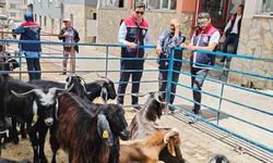 Bozdoğan'da Kurban Satış Noktalarında Sıkı Denetim
