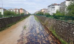 Cide'de Kuz Deresi'ne Karışan Kimyasal Atık Denize Ulaştı