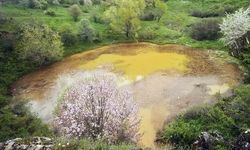 Dipsizgöl'ün Rengi Değişti, Ziyaretçiler Hayal Kırıklığına Uğradı