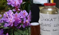 Doğu Karadeniz'in 'Deli Bal'ı İçin Sağlık Uyarısı