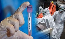 DSÖ: Hantavirüs Küresel Risk Oluşturmuyor, Ebola Vakaları Takip Ediliyor