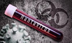 DSÖ: İsviçre'de Hantavirüs Vakası ve MV Hondius Gemisindeki Gelişmeler