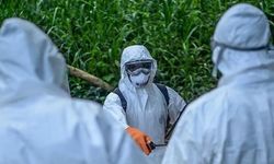 DSÖ Uyardı: Demokratik Kongo'daki Ebola Salgını Grip Belirtileriyle Karışabilir