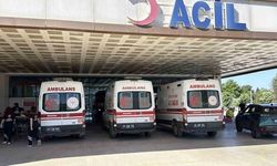 Düzce'de Bayramın İlk Gününde 154 Acemi Kasap Yaralandı
