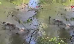 Edirne'de Tunca Nehri'nde 9 Saat Arayla İki Arkadaşın Cansız Bedenleri Bulundu