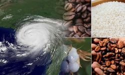 El Nino Etkisi Piyasalarda Endişe Yarattı