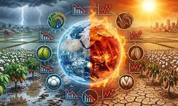 El Nino Etkisiyle Küresel Tarım Ürünlerinde Risk Artıyor
