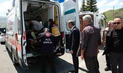 Elazığ'da Otomobil Aydınlatma Direğine Çarptı: 4 Kişi Yaralandı