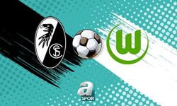 Freiburg ile Wolfsburg Bundesliga'da Karşılaşıyor