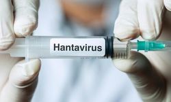 Hantavirüsle İlgili Sosyal Medyada Yayılan İddialar Gündemde
