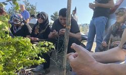 Hatay'da Elektrik Akımına Kapılan Genç Mahir'in Kurban Hayali Gerçekleşti