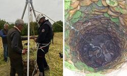 İtfaiye Ekipleri Su Kuyusuna Düşen Tilkiyi Kurtardı