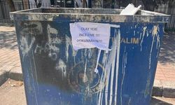 İzmir Buca'da 33 Ölü Kedi Bulundu, Bir Veteriner Gözaltında