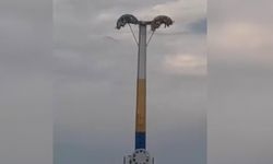 İzmir'de Lunaparkta Oyuncak Arızaları Korku Dolu Anlar Yaşattı