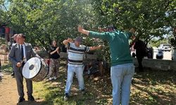İznik'te Erik Hasadında Coşkulu Kutlama