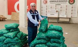 Kapıkule Sınır Kapısı'nda 760 Kilogram Kum Midyesi Yakalandı