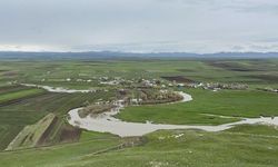 Kars'ta Sağanak Yağışlar Tarım Arazilerini Su Altında Bıraktı