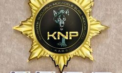 Kars'ta Uyuşturucu Operasyonunda 1 Kişi Tutuklandı