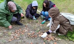 Kastamonu'da 2 Bin 300 Yıllık Arkeolojik Bulgular Ortaya Çıktı