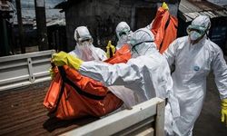 Kongo'da Ebola Salgını Büyüyor: Vaka Sayısı 1077'ye Ulaştı