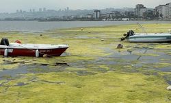 Kurupelit Marina'da Dip Tarama Çalışması Başlıyor
