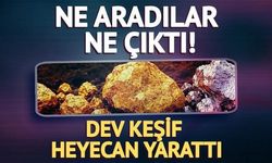 Madencilik Şirketinden Bakır Yatağında Altın ve Gümüş Keşfi