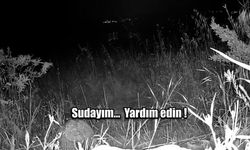 Manisa'da Kaybolan Kişi Güvenlik Kamerası Sayesinde Bulundu