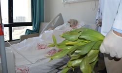 Mardin'de Yanlış Ot Tüketimi İç Organlara Zarar Verdi