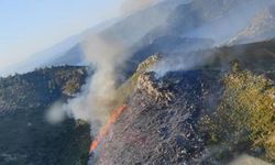 Marmaris'teki Orman Yangını Hızla Kontrol Altına Alındı
