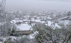 Mayıs ayında Adana ve Bolu Dağı beyaza büründü