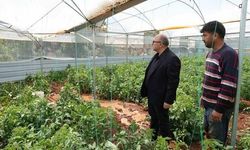 Mersin Erdemli'de Dolu Tarım Alanlarına Zarar Verdi