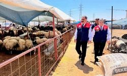 Mersin'de Kurban Bayramı Öncesi Kurbanlık Satış Noktalarında Yoğun Denetim